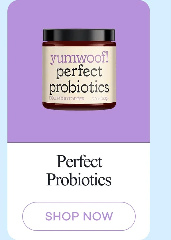 Perfect Probiotics | shop now