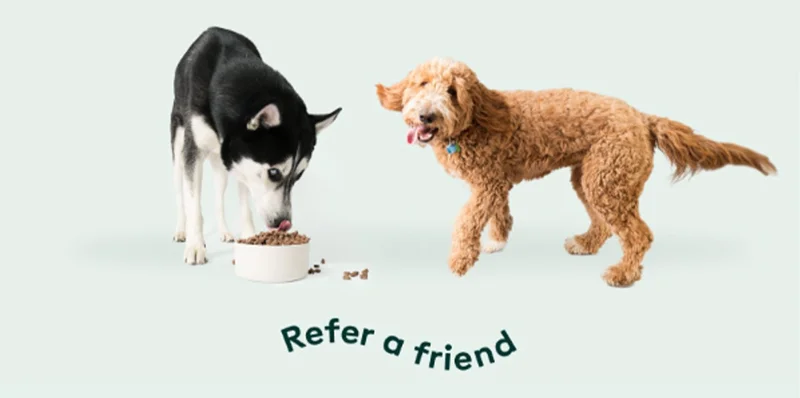 Refer a friend