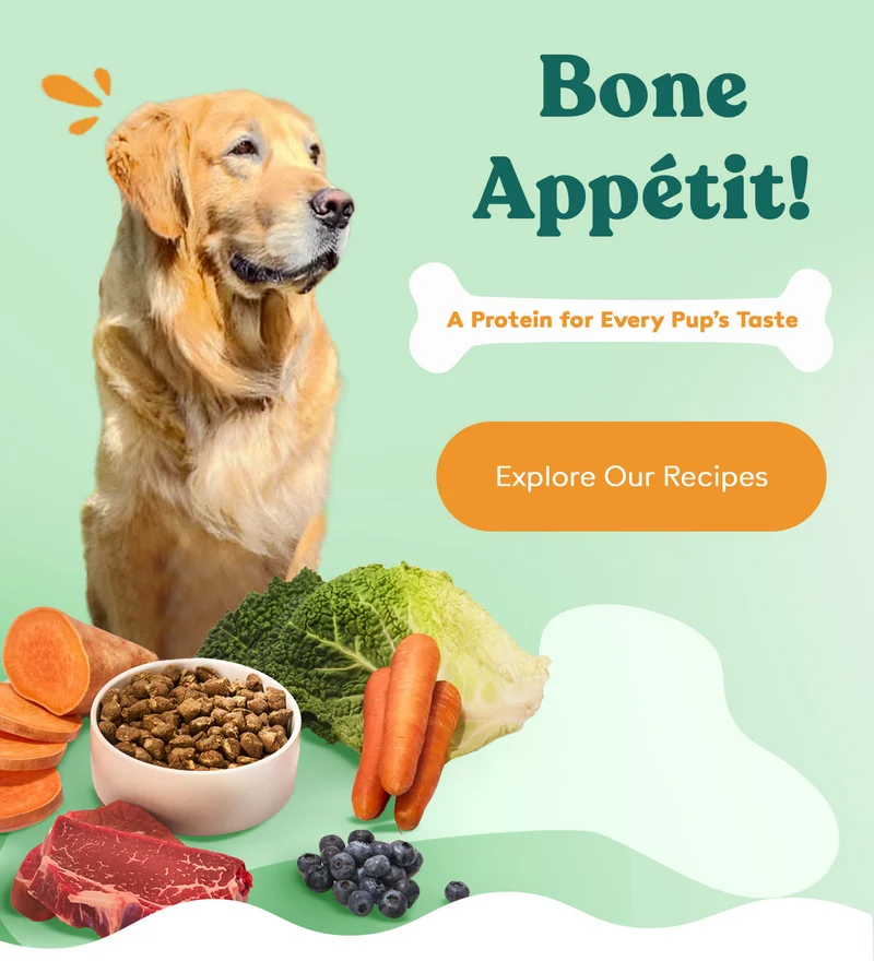 A Protein for Every Pup’s Taste