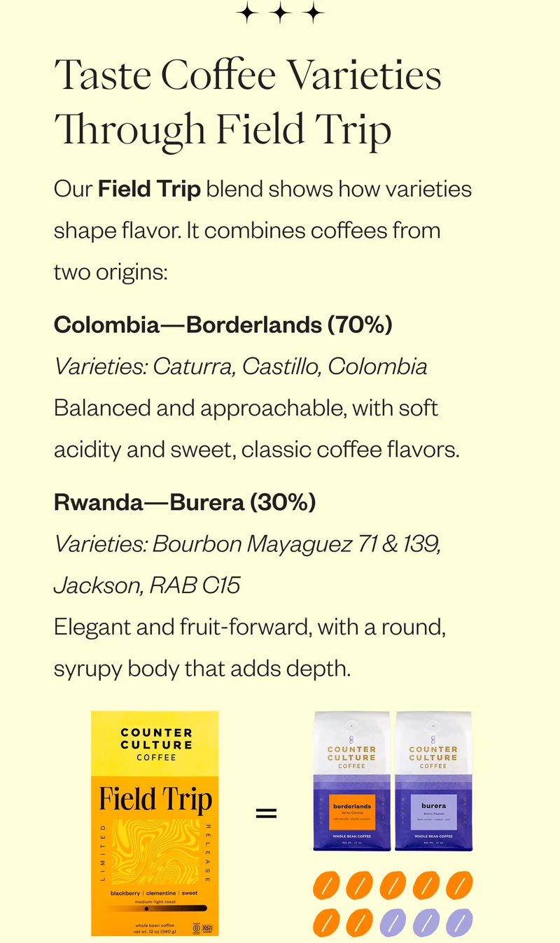 Taste Coffee Varieties Through Field Trip Our Field Trip blend shows how varieties shape flavor. It combines coffees from two origins: Colombia – Borderlands (70%) Varieties: Caturra, Castillo, Colombia Balanced and approachable, with soft acidity and sweet, classic coffee flavors. Rwanda – Burera (30%) Varieties: Bourbon Mayaguez 71 & 139, Jackson, RAB C15 Elegant and fruit-forward, with a round, syrupy body that adds depth. Taste Coffee Varieties Through Field Trip Our Field Trip blend shows how varieties shape flavor. It combines coffees from two origins: Colombia – Borderlands (70%) Varieties: Caturra, Castillo, Colombia Balanced and approachable, with soft acidity and sweet, classic coffee flavors. Rwanda – Burera (30%) Varieties: Bourbon Mayaguez 71 & 139, Jackson, RAB C15 Elegant and fruit-forward, with a round, syrupy body that adds depth.