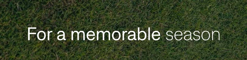 For a memorable season