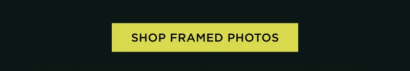 Shop Framed Photos