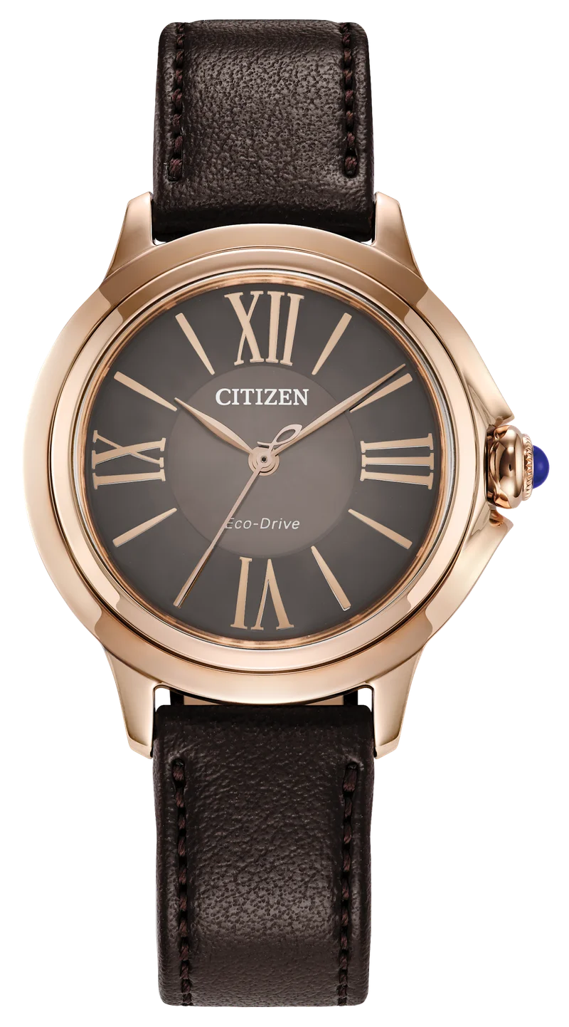 Image of Citizen L Ceci