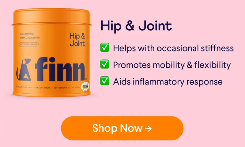 Hip & Joint ✅  Helps with occasional stiffness ✅  Promotes mobility & flexibility ✅  Aids inflammatory response | Shop Now –>