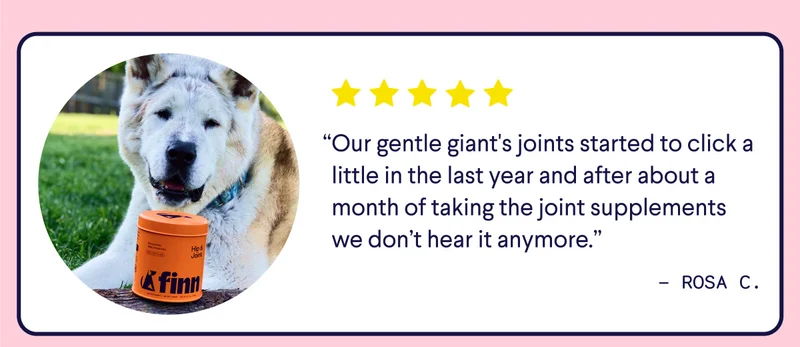 “Our gentle giant's joints started to click a little in the last year and after about a month of taking the joint supplements we don’t hear it anymore.” –&nbsp;Rosa C.