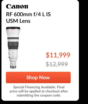 Canon RF 600mm f/4 L IS USM Lens