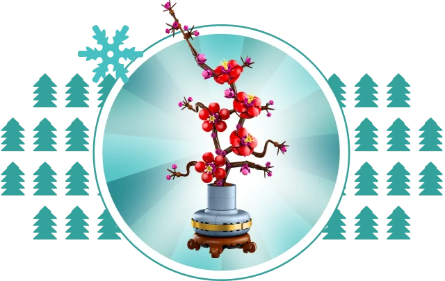 Plum Blossom