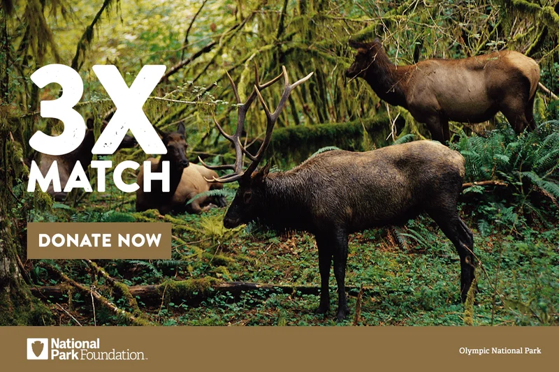 3x Match. Donate Now.