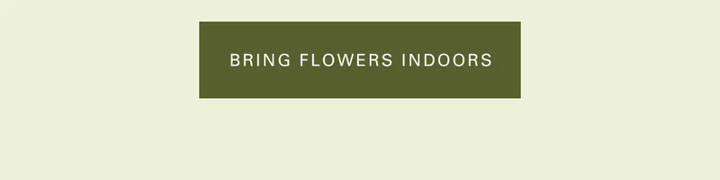 Bring flowers indoor
