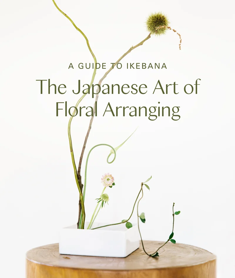 A Guide to Ikebana: The Japanese Art of Floral Arranging