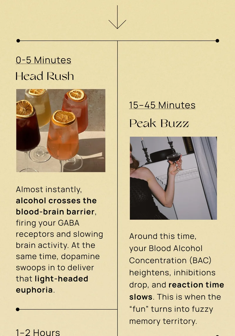 0–5 Minutes | Head Rush | Almost instantly, alcohol crosses the blood-brain barrier, firing your GABA receptors and slowing brain activity. At the same time, dopamine swoops in to deliver that light-headed euphoria.  |   15–45 Minutes | Peak Buzz | Around this time, your Blood Alcohol Concentration (BAC) heightens, inhibitions drop, and reaction time slows. This is when the “fun” turns into fuzzy memory territory.