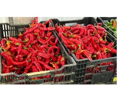 Roberta's 3-Piece Heirloom Jimmy Nardellos Sweet Peppers