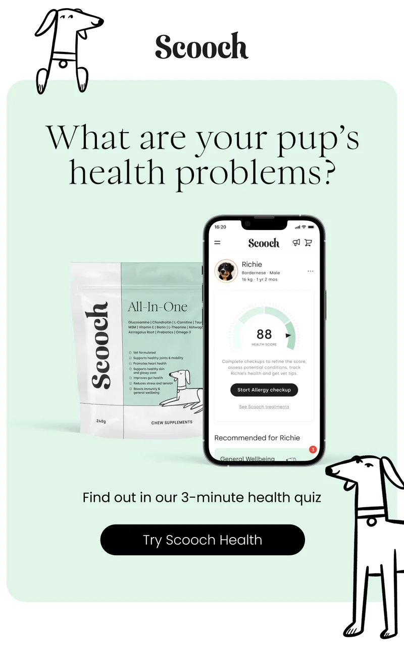 Find out in our 3-minute health quiz - Try Scooch Health