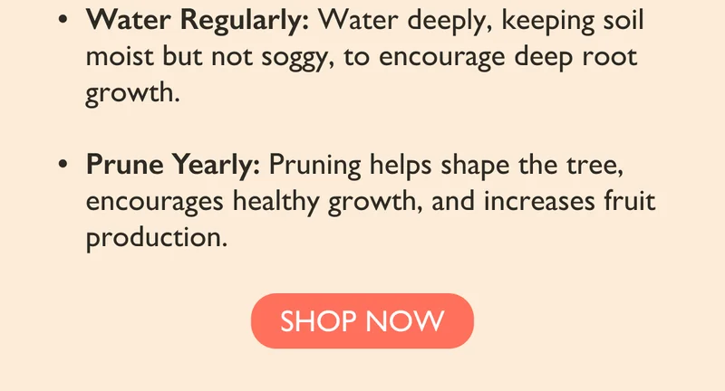 Shop Labor Day Sale
