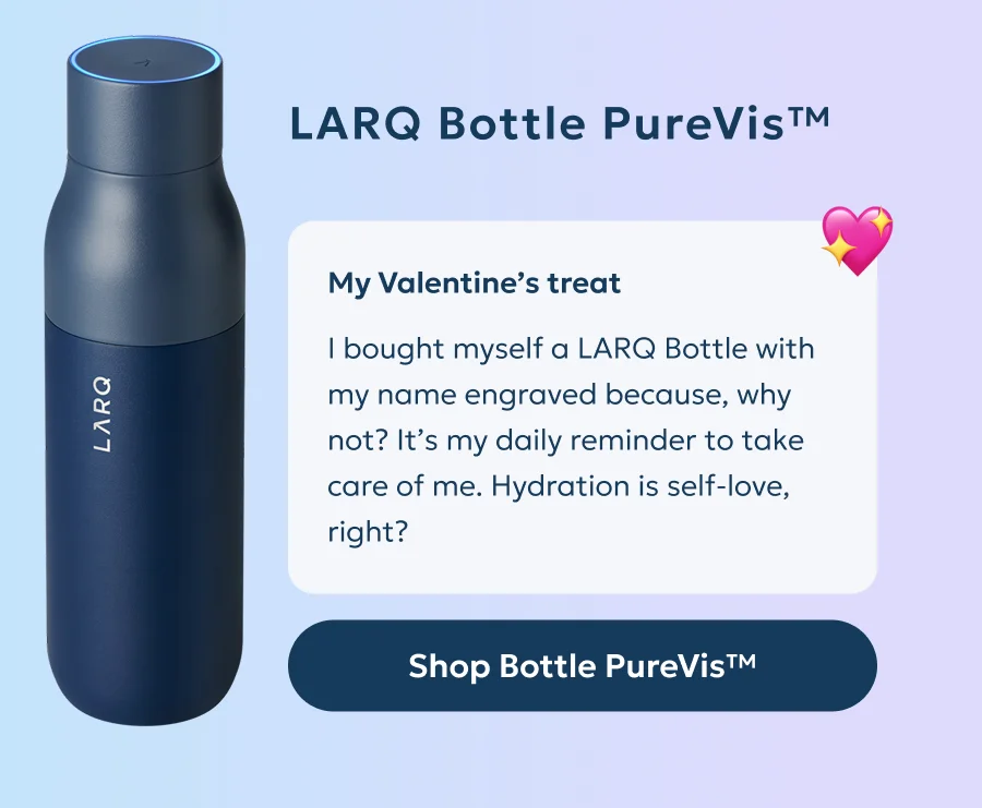 LARQ Bottle PureVis™