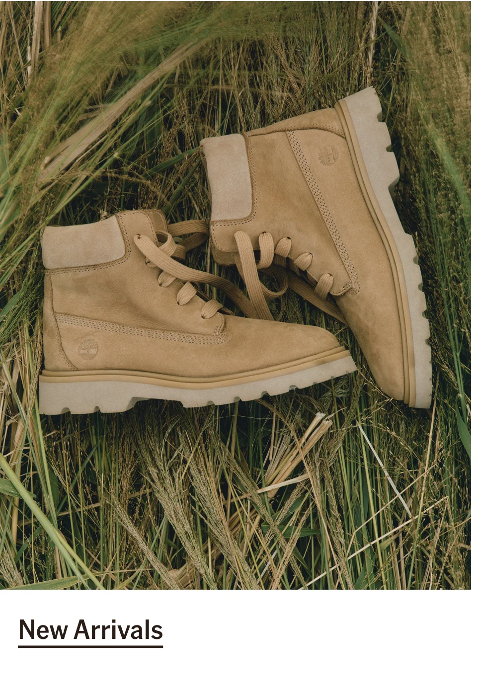New Arrivals