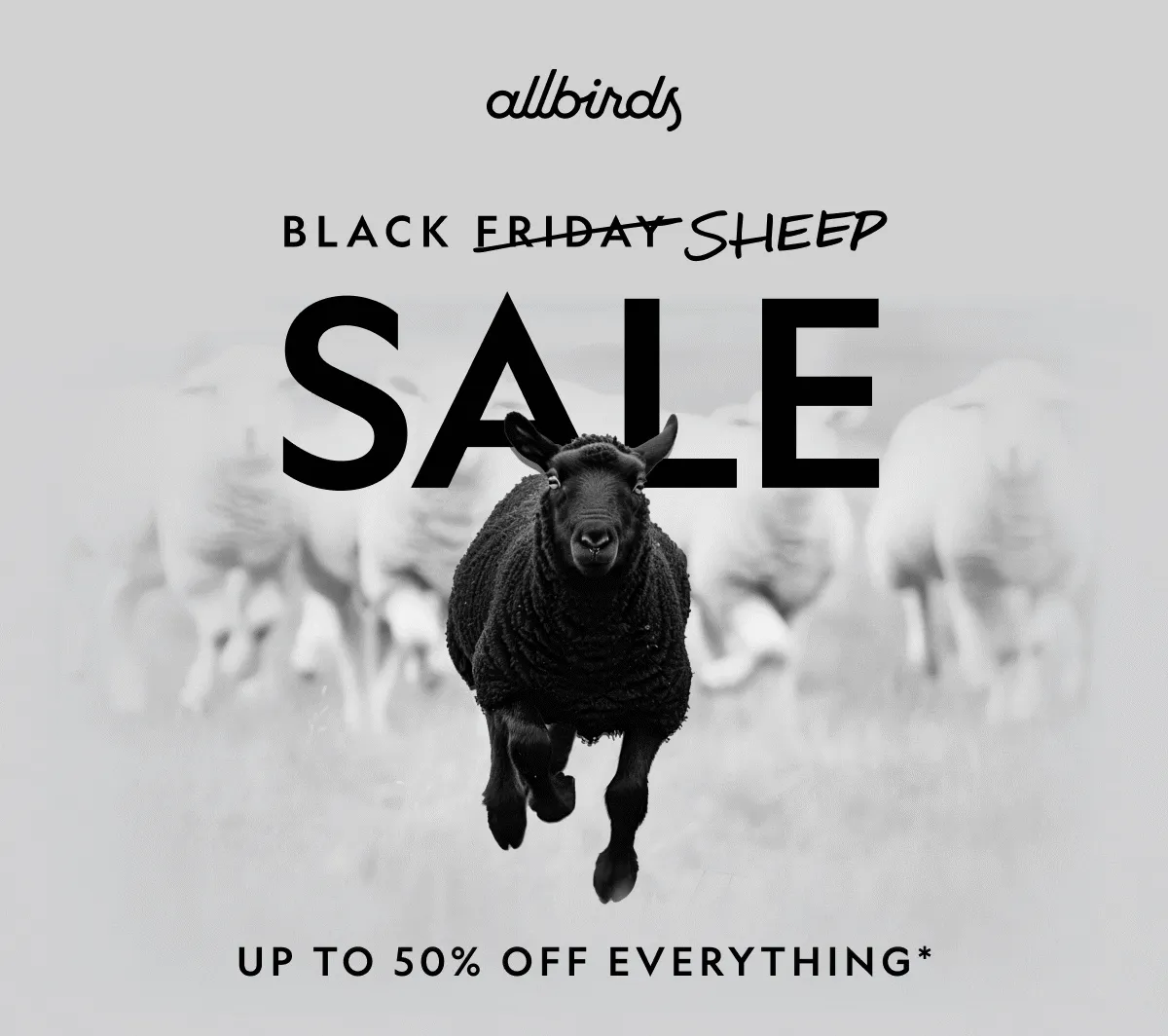 Black Friday Sale
