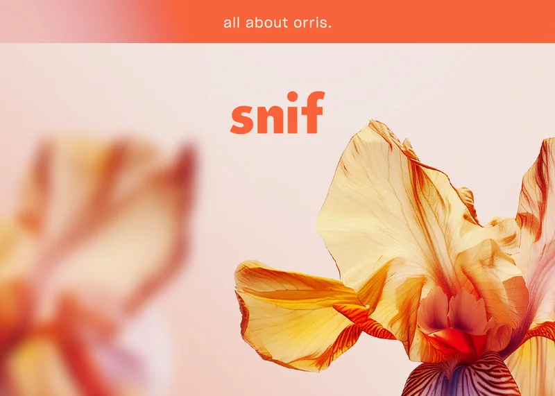 All about orris