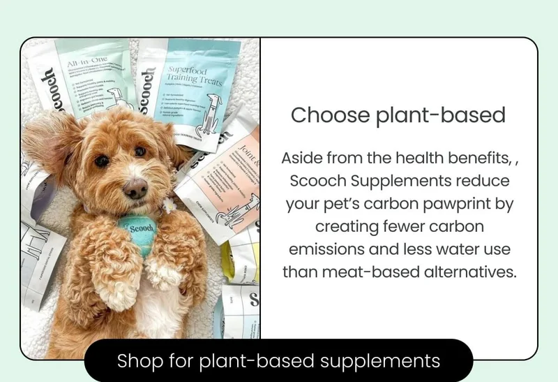 Choose plant-based