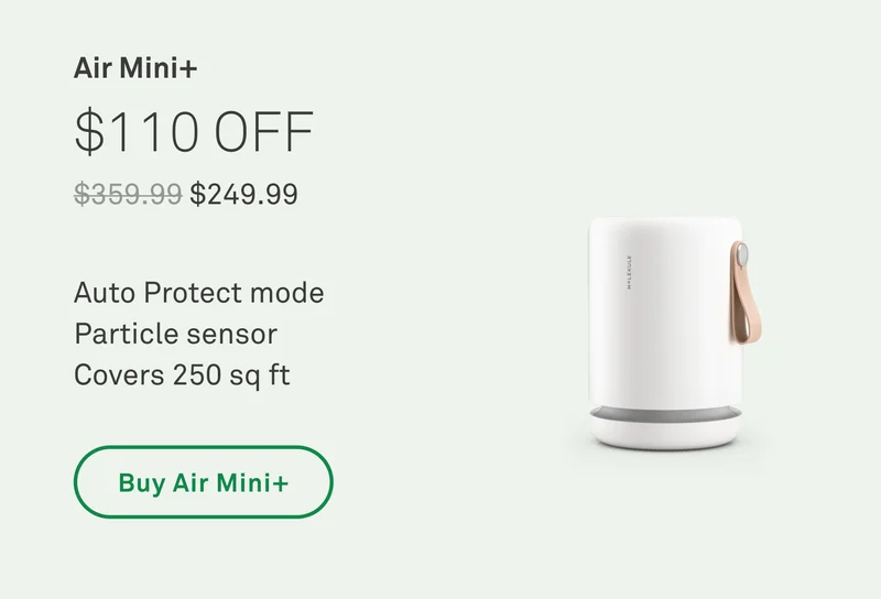 Air Mini+