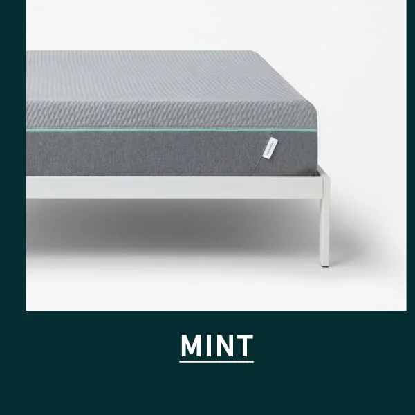 Mint