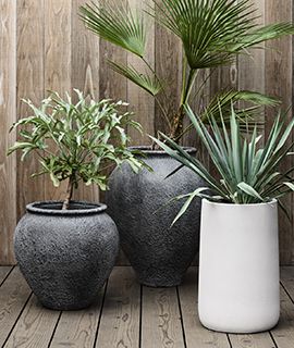 decor