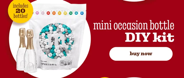 MINI OCCASION BOTTLE DIY KIT