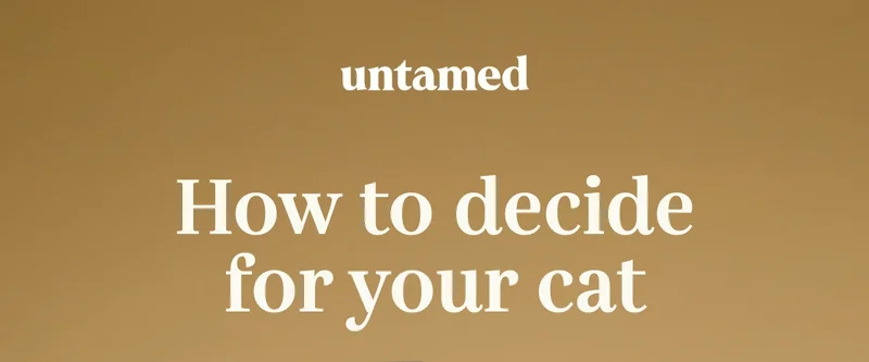How to decide for your cat