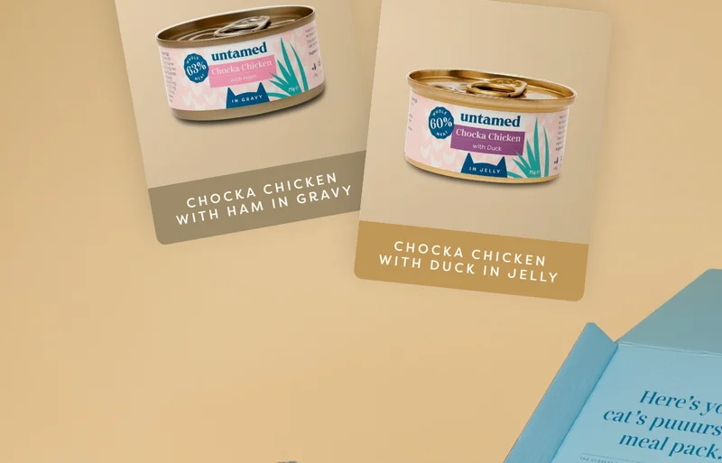 Choosing between gravy or jelly food for your kitty is an ongoing debate amongst cat parents. What factors should we be considering when choosing the best food for your cat?