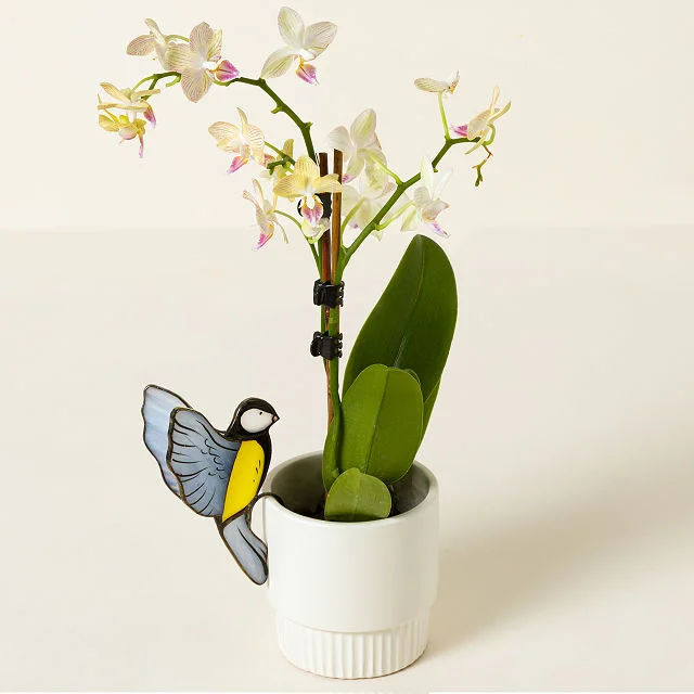 Hummingbird Pot Hugger