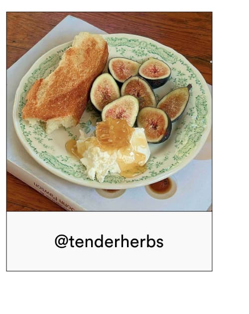 @tenderherbs