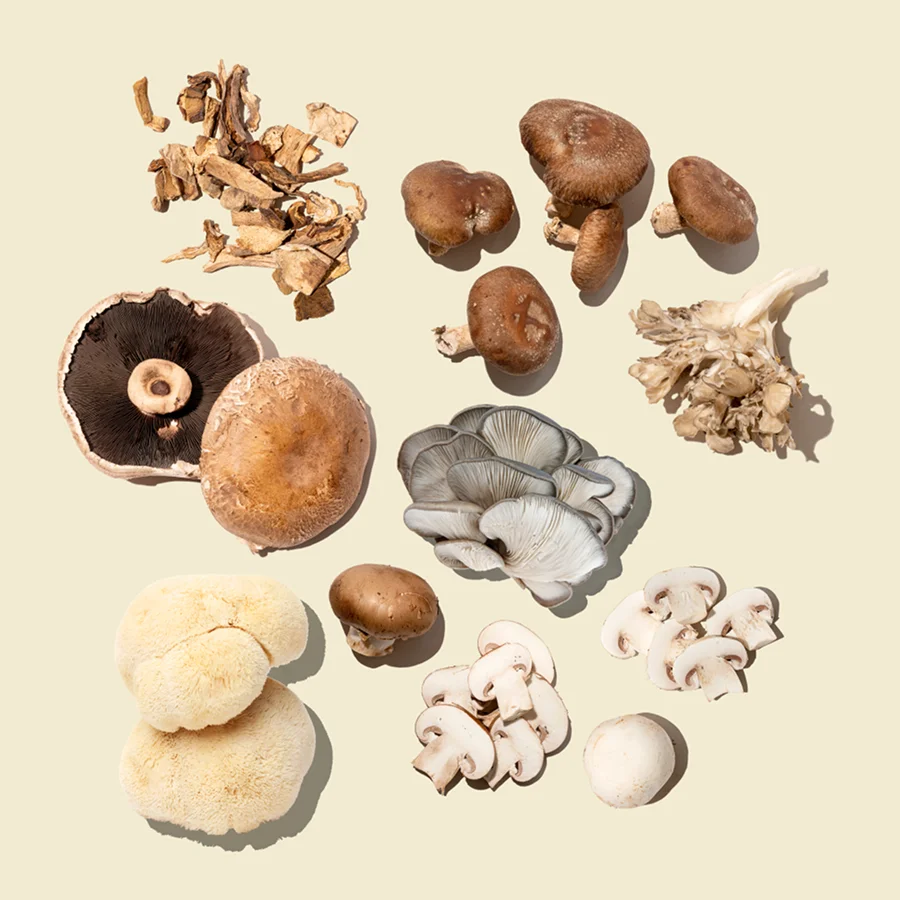 Mushrooms do it all!