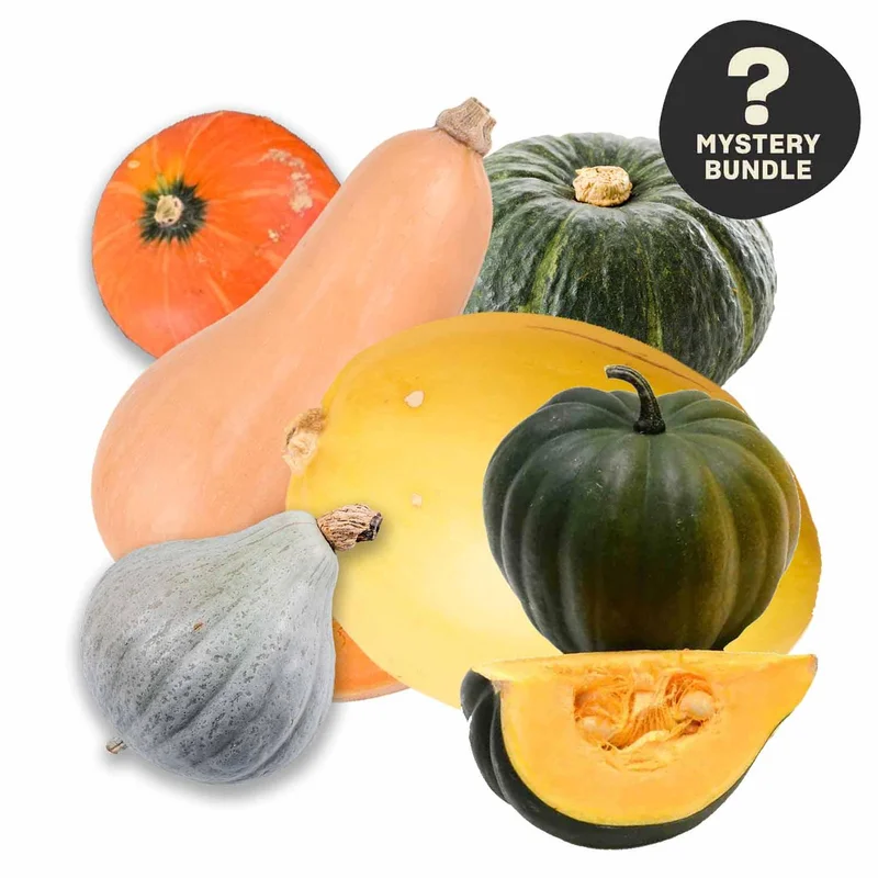 Season's Best Organic Mystery Hard Squash
