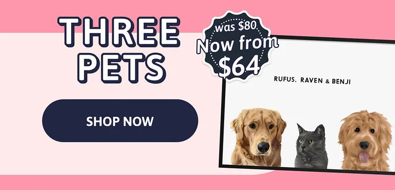Modern Pet Portrait - Three Pets