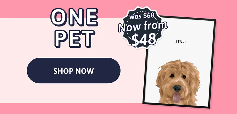 Modern Pet Portrait - One Pet