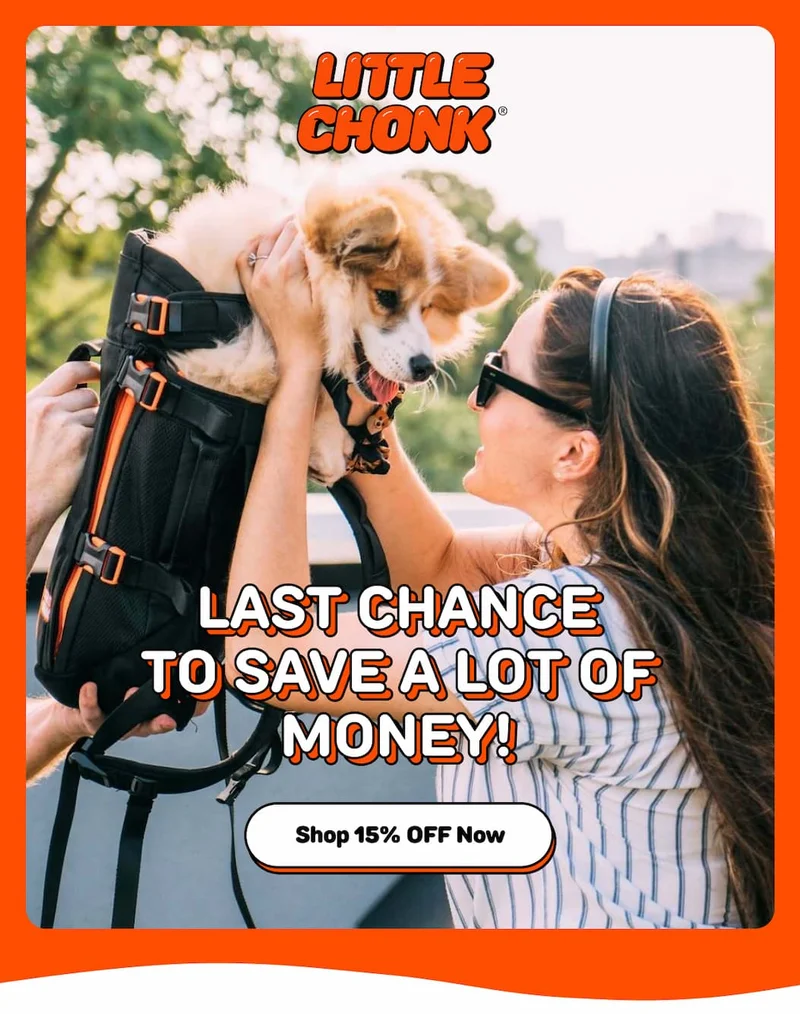 LAST CHANCE TO SAVE A LOT OF MONEY!