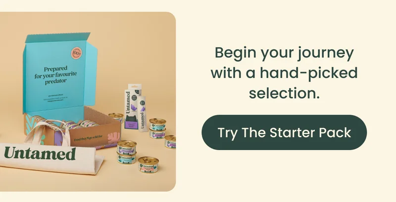 Try The Starter Pack