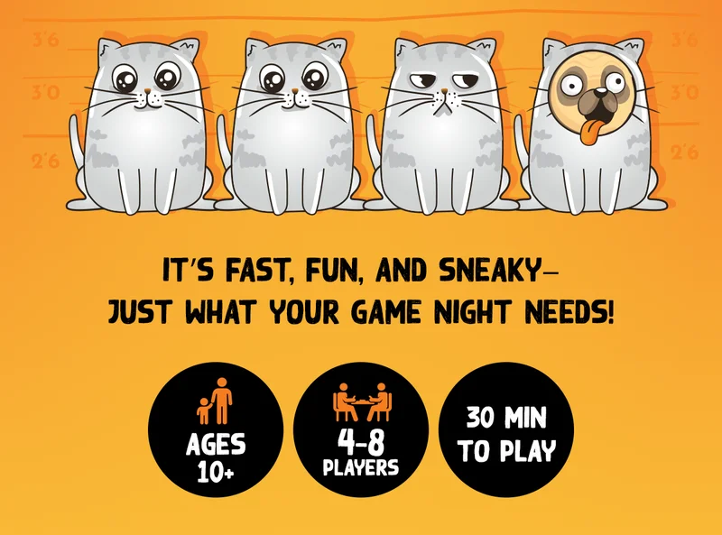 IT'S FAST,FUN, AND SNEAKY- JUST WHAT YOUR GAME NIGHT NEEDS! | AGES 10+ | 4-8 PLAYERS | 30 MIN TO PLAY |