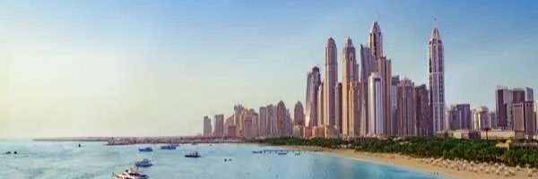 image-to-translate-K5NTjpcOpq
