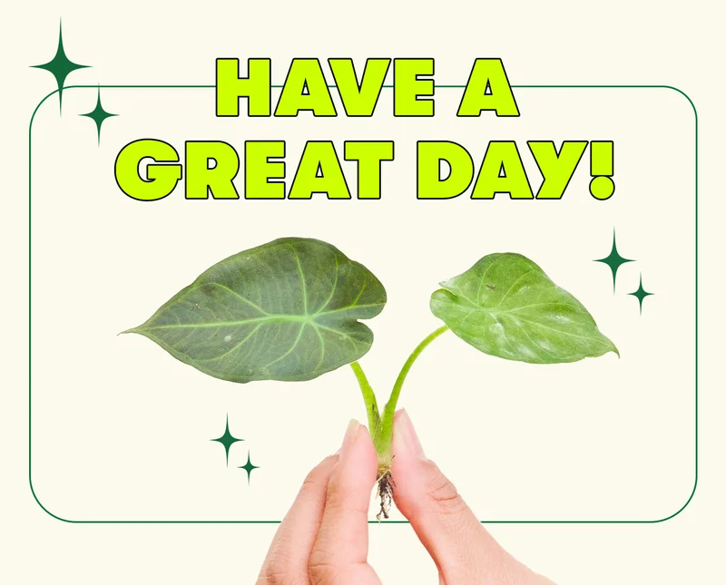 Have a great day!