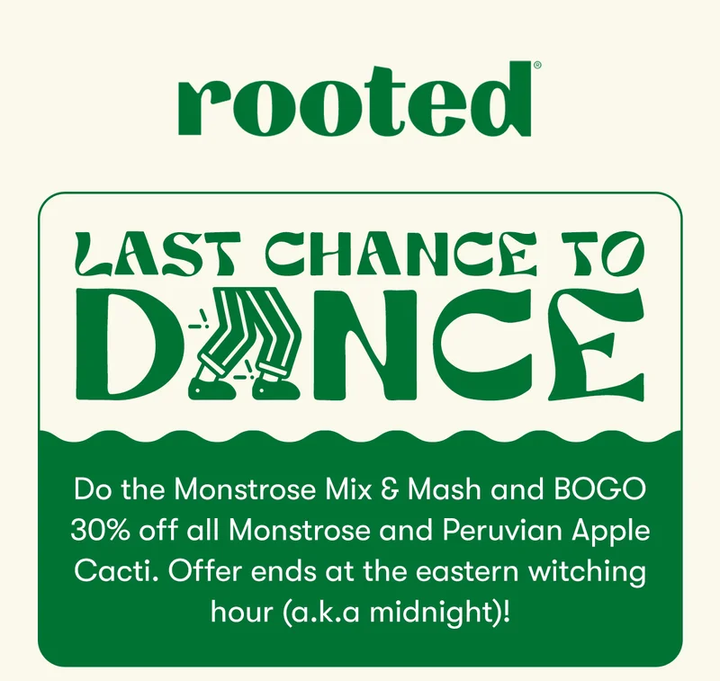Rooted. Last chance to Dance! Do the Monstrose Mix & Mash and BOGO 30% off all Monstrose and Peruvian Apple Cacti. Offer ends at the eastern witching hour (a.k.a midnight)!