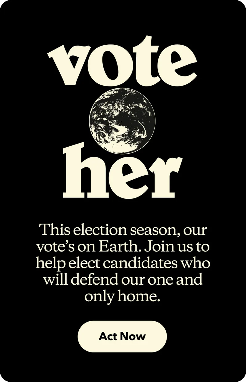 Time is never wasted defending what you love. Illustration of the Earth. Vote her.