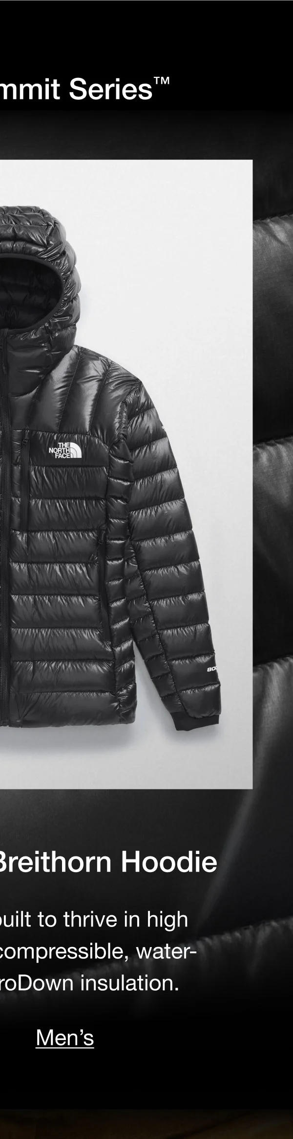 Summit Series Breithorn Hoodie.This best-seller is built to thrive in high altitude with highly compressible, water-repellent 800-fill ProDown insulation.