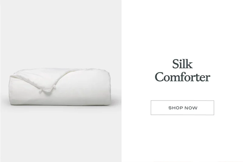 Shop Silk Comforter