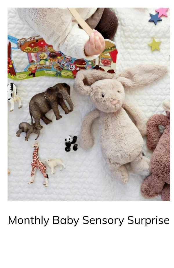Monthly Baby Sensory Surprise Next Level Sensory