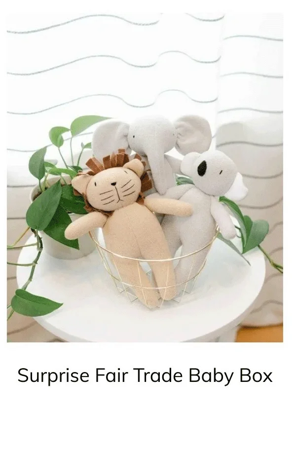 Surprise Fair Trade Baby Box! Newborn to 12 months Anchor of Hope Box
