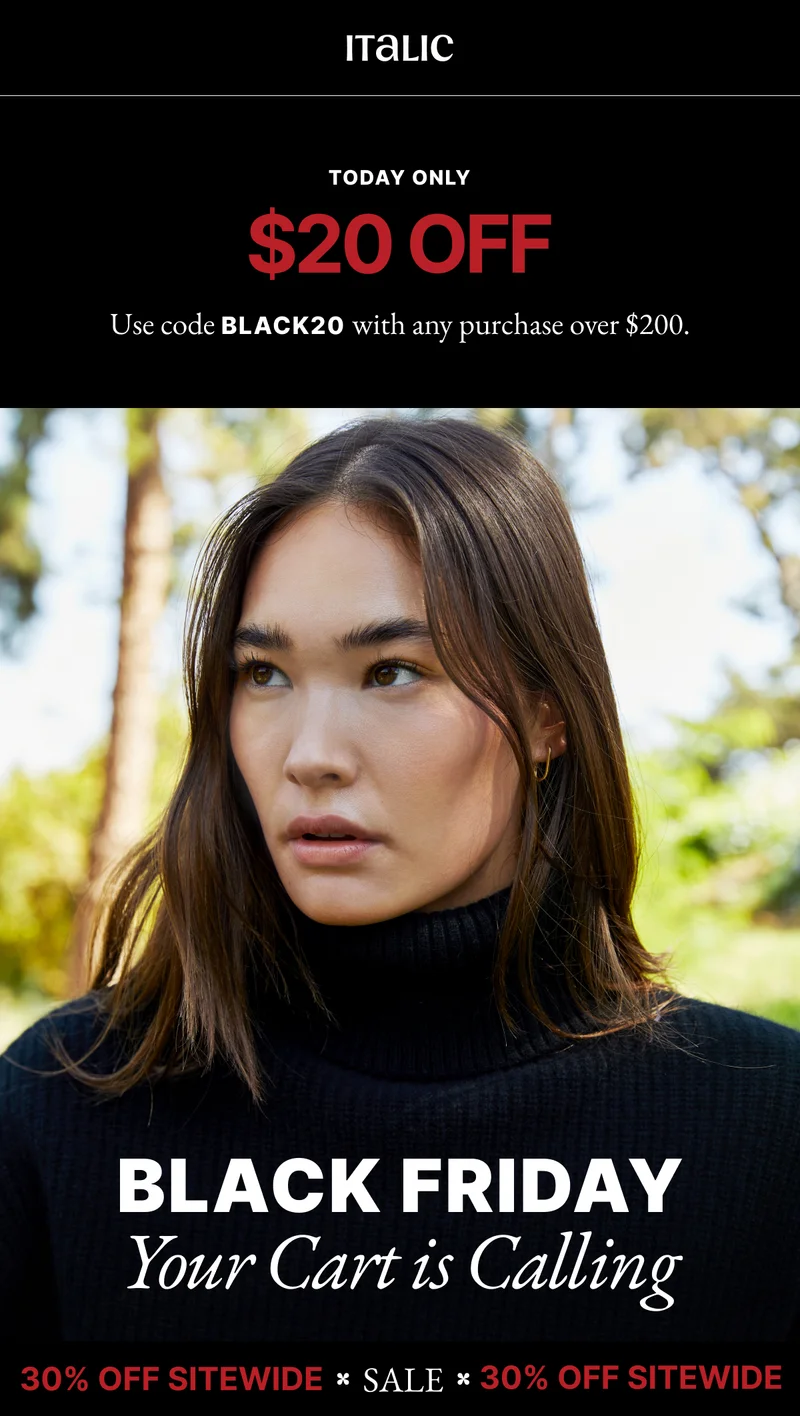 Black Friday Sale