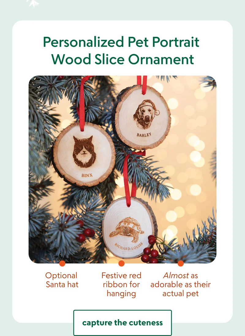 personalized-pet-portrait-wood-slice-ornament