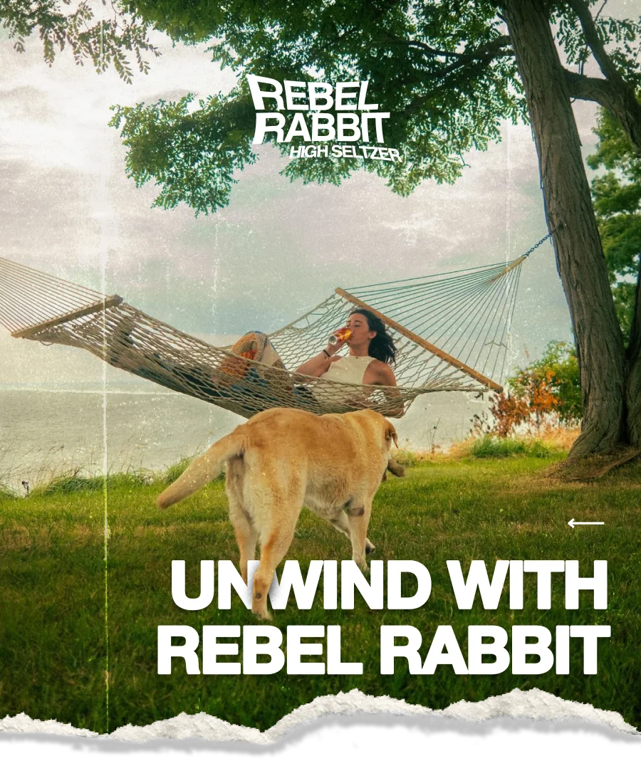 Rebel Rabbit — Unwind With Rebel Rabbit