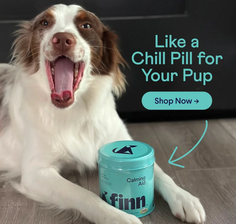 Like a Chill Pill for Your Pup | Shop Now –>